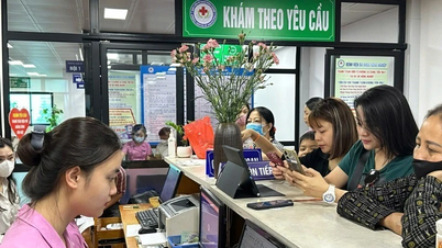 ទំនួលខុសត្រូវ និងការប្តេជ្ញាចិត្តក្នុងការបើកទិសដៅថ្មីពីការផ្លាស់ប្តូរឌីជីថល