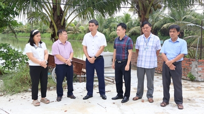 ความเสี่ยงของการระบาดของอหิวาตกโรคในสุกรแอฟริกันในจังหวัดไหเซือง