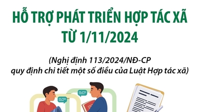 9 chính sách hỗ trợ phát triển hợp tác xã từ tháng 11