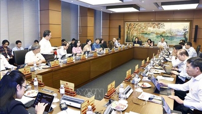 Thông cáo báo chí số 6, Kỳ họp thứ 8, Quốc hội khóa XV