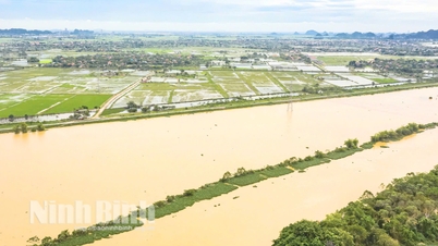 លេខ​២៣ របស់​គណៈកម្មាធិការ​ប្រជាជន​ខេត្ត ផ្តោត​លើ​ការ​អនុវត្ត​ឆ្លើយតប​ទឹកជំនន់