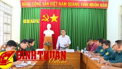 Hiệu quả từ những giải pháp thiết thực