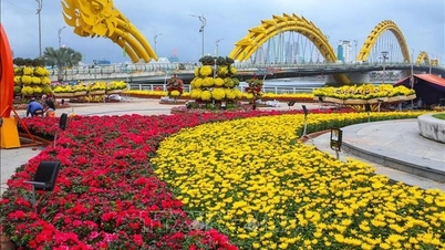 Thông tin bắn pháo hoa Tết dương lịch tại Đà Nẵng là không chính xác