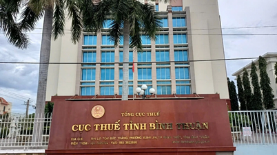 Bình Thuận nỗ lực hoàn thành chỉ tiêu kế hoạch năm 2024