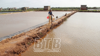 Tập trung chăm sóc thủy sản sau bão