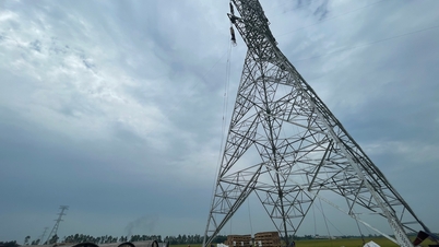 Kéo dây, đường dây 500kV, Hải Dương