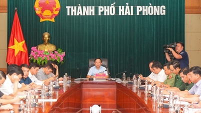 ពិនិត្យ និងដាក់ចេញជាបន្ទាន់នូវវិធានការធានាសុវត្ថិភាពសម្រាប់ទេសចរណ៍ ជលផល និងសកម្មភាពនេសាទនៅសមុទ្រ។