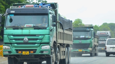 Transport businesses face difficulties due to having to change vehicle registration papers