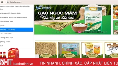 630 sản phẩm có mặt trên sàn thương mại điện tử Hà Tĩnh