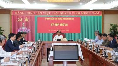 Đề nghị kỷ luật một số đảng viên vi phạm tại Đảng bộ Vĩnh Phúc và Quảng Ngãi