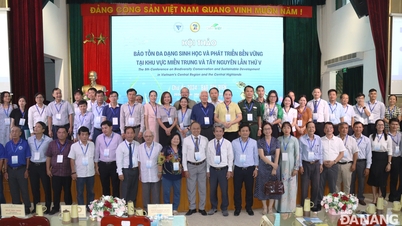 ដោះស្រាយជម្លោះ បែងចែកលំហសមុទ្រសម្រាប់ការអភិវឌ្ឍន៍ និងការអភិរក្ស