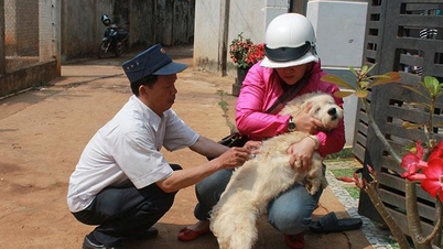 Ghi nhận trường hợp tử vong nghi do bệnh Dại tại huyện Krông Ana