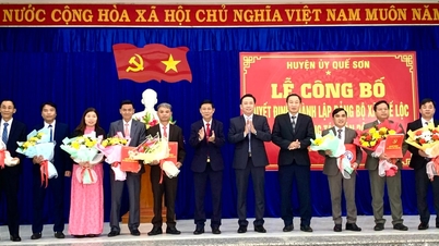 Quế Sơn công bố quyết định thành lập Đảng bộ xã Quế Lộc (mới)