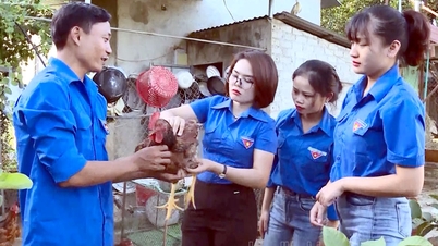 ការលើកទឹកចិត្តដើម្បីជួយយុវជនចាប់ផ្តើមអាជីវកម្ម
