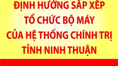[Infographic]: Định hướng sắp xếp tổ chức bộ máy của hệ thống chính trị tỉnh Ninh Thuận tinh gọn, hoạt động hiệu lực, hiệu quả