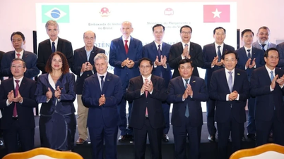 Việt Nam-Brazil đặt mục tiêu đạt 10 tỷ USD kim ngạch thương mại song phương - Báo Lạng Sơn: Tin tức mới nhất, chính xác, uy tín