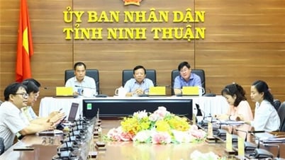 Online conference on draft Decree regulating land use fees and land rents
