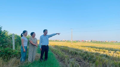 Nam Sách tập trung giải phóng mặt bằng dự án thi công cầu Kênh Vàng