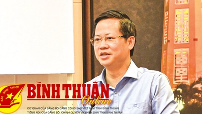 Binh Thuan ប្តេជ្ញាកែលម្អបរិយាកាសវិនិយោគ និងធុរកិច្ច ទាក់ទាញវិនិយោគិនជាយុទ្ធសាស្ត្រ និងបង្កើតឥទ្ធិពលលេចធ្លាយសម្រាប់ការអភិវឌ្ឍន៍។