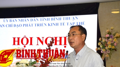 សេដ្ឋកិច្ច​សមូហភាព​ខេត្ត​មាន​ការ​អភិវឌ្ឍ​ទាំង​បរិមាណ និង​គុណភាព។