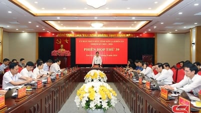 Phiên họp thứ 39, UBND tỉnh khóa XV