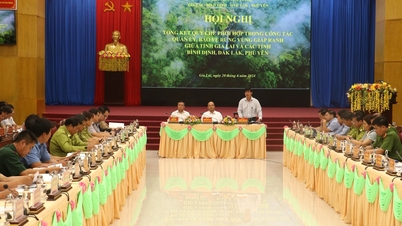 បង្កើនប្រសិទ្ធភាពនៃការគ្រប់គ្រង និងការពារព្រៃឈើនៅតំបន់ព្រំដែន