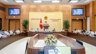 Hoàn thiện các quy định của pháp luật về bảo đảm trật tự an toàn giao thông đường bộ