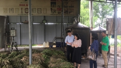 Assessment of the actual production of typical rural industrial products in the Central Highlands region
