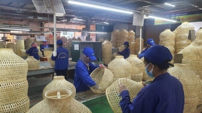 6 months, national industrial promotion fund allocated 45 billion VND