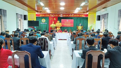 In 2024, Quang Nam will have 61,754 households achieving the title of productive farmers.