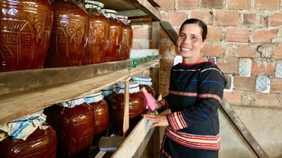 Đẩy mạnh phát triển mô hình nông hội để nâng chất lượng sản phẩm địa phương
