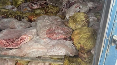Министерство сельского хозяйства отдает распоряжение о строгом контроле за сбором мертвых свиней для производства колбас к празднику Тет