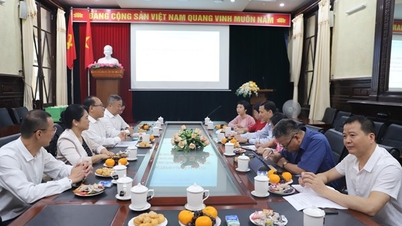 Die Stadt Nanning (China) möchte die Austauschmöglichkeiten mit den Kunstgruppen der Stadt Hai Phong erweitern