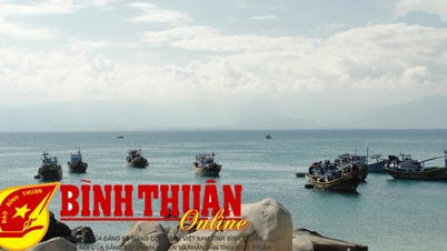 Hon Cau Marine Reserve នឹងមានផ្ទៃដីជាង 16,000 ហិចតា បន្ទាប់ពីមានការកែសម្រួល។