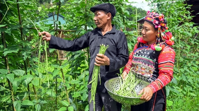 Nhịp cầu nối cấp ủy, chính quyền với nhân dân