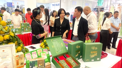 Support businesses to connect supply and demand of goods