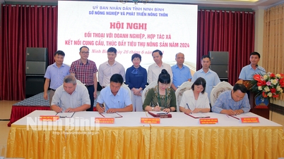 Hội nghị đối thoại với doanh nghiệp, HTX; kết nối cung cầu, thúc đẩy tiêu thụ nông sản