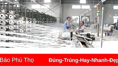 ទាក់ទាញការវិនិយោគសម្រាប់ការអភិវឌ្ឍន៍ឧស្សាហកម្ម