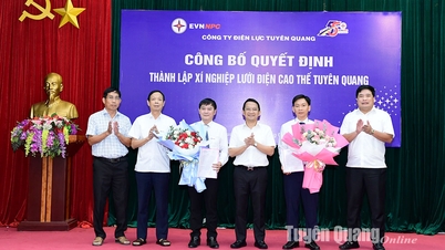 ការបង្កើតសហគ្រាសបណ្តាញតង់ស្យុងខ្ពស់ Tuyen Quang