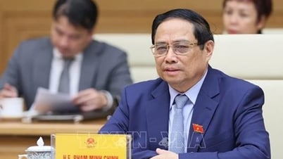 នាយករដ្ឋមន្ត្រី Pham Minh Chinh ទទួលជួបអ្នកសម្របសម្រួល និងជាប្រធានអង្គការ UN ប្រចាំនៅវៀតណាម