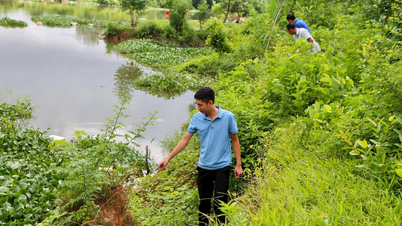 ច្រាំងប្រឡាយ Bac Hung Hai កាត់ Binh Giang ក្នុងរដូវវស្សា
