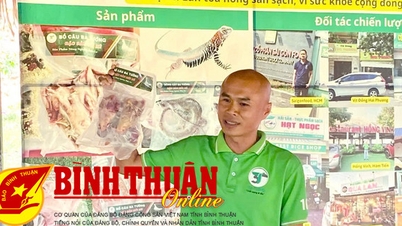 Một nông dân Bình Thuận đạt danh hiệu “Nông dân Việt Nam xuất sắc” năm 2024