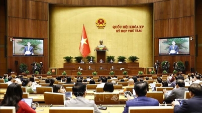 Thông cáo báo chí số 7, Kỳ họp thứ 8, Quốc hội khóa XV