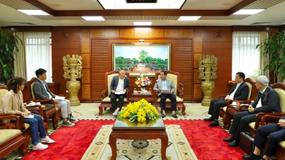 Ông Park Hang-seo, nguyên huấn luyện viên trưởng đội tuyển bóng đá Việt Nam đầu tư Dự án "Nhà triển lãm Park Hang-seo và sân bóng đá mini" tại Hải Dương