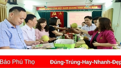 Yên Lập phát triển sản phẩm OCOP
