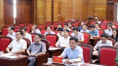 Triển khai nhiệm vụ cải cách hành chính 6 tháng cuối năm