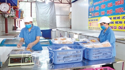 Tien Hai៖ លើកកំពស់តម្លៃផលិតផល OCOP