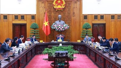 ការពង្រឹងបរិក្ខារ៖ រៀបចំផែនការ និងគោលនយោបាយរបស់បុគ្គលិកដោយប្រុងប្រយ័ត្ន ដើម្បីអនុវត្តភ្លាមៗបន្ទាប់ពីការអនុម័តពីមជ្ឈិម និងរដ្ឋសភា។