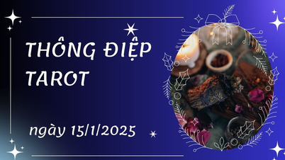 Thông điệp Tarot ngày 15/1/2025 cho 12 cung hoàng đạo: