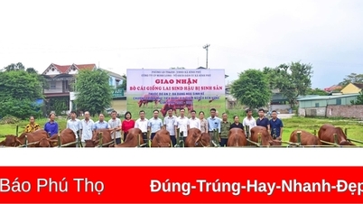 អត្រាភាពក្រីក្រពហុវិមាត្របានកាត់បន្ថយមកត្រឹម 1.32%